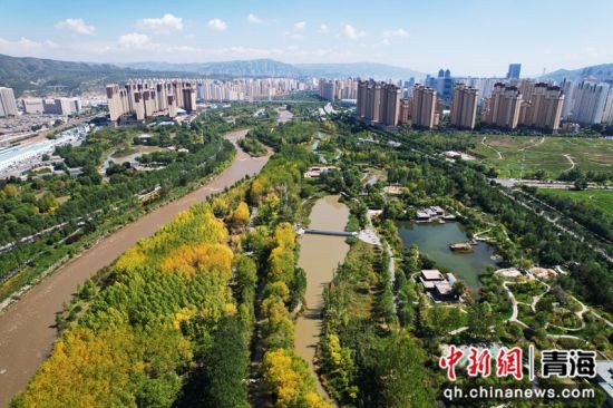 资料图为航拍位于城西区的湟水湿地公园一隅。马铭言摄 资料图为航拍位于城西区的湟水湿地公园一隅。马铭言摄