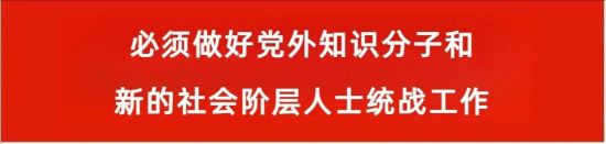 加强对新的社会阶层人士的政治引领 加强对新的社会阶层人士的政治引领