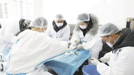 合作社的加工车间里员工正在加工虹鳟鱼。陶娅 摄