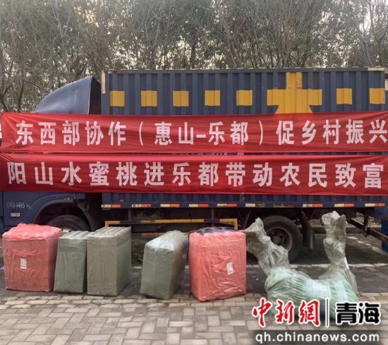 图为苗木引进现场。苏宣 供图 图为苗木引进现场。苏宣 供图