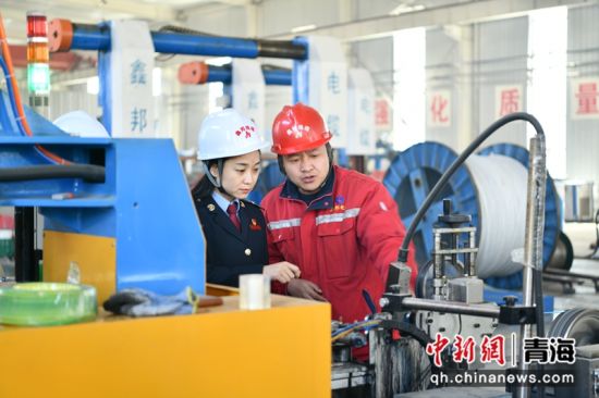 图为湟中区税务局干部了解企业生产经营情况。 莫鑫生摄 图为湟中区税务局干部了解企业生产经营情况。 莫鑫生摄