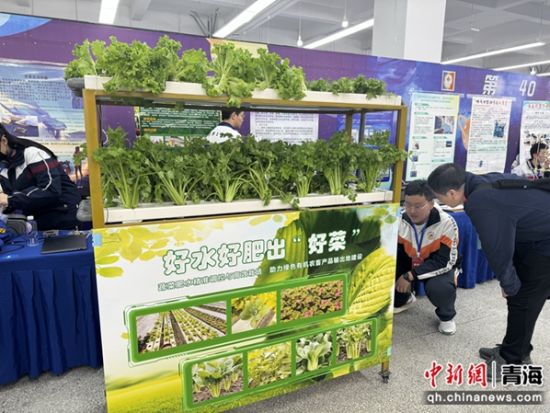 图为第40届西宁市青少年科技创新大赛现场。 西宁市科学技术协会供图