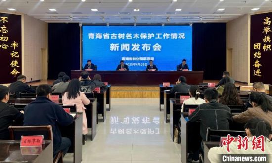 图为新闻发布会现场。李江宁 摄