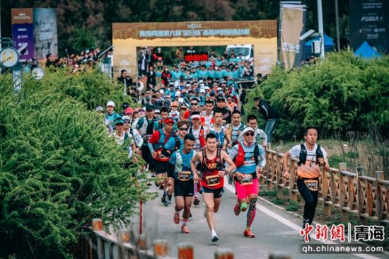 图为高原越野跑挑战赛现场，选手准备出发。 同德县委宣传部供图