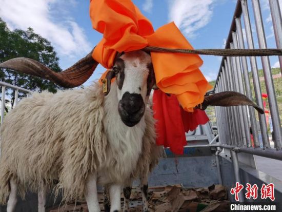 图为二等奖奖品。张添福 摄 图为二等奖奖品。张添福 摄
