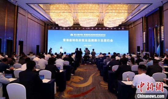 图为推介会现场。张忠苹 摄