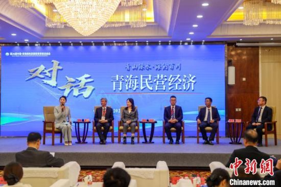 图为对话青海民营经济专题活动现场。薛蒂 摄