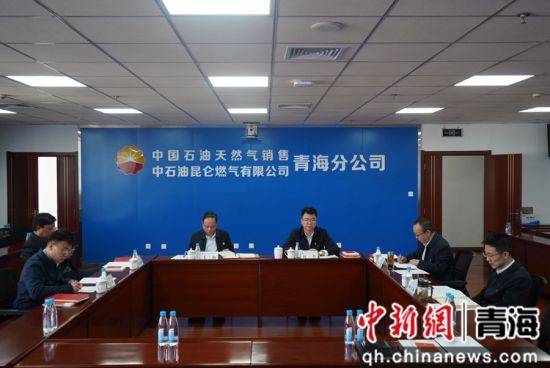 图为会议现场。 青海公司 供图