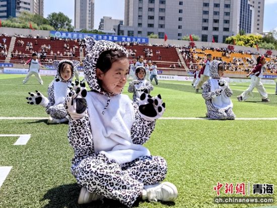 图为城西区的小演员扮演“雪豹”。李隽 摄