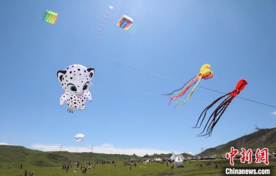 图为各类风筝飘舞在青海日月山的蓝天绿草间。　　马铭言 摄