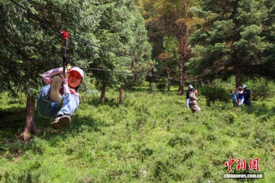 图为7月15日，祁连山国家公园(候选区)青海片区聚阳沟研学基地内，小学生在森林中体验溜索。薛蒂 摄