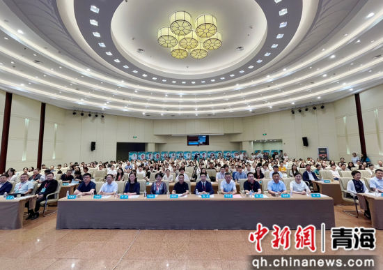 图为论坛现场。史雅洁摄