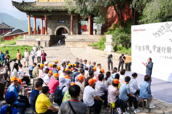 五台山“平安古树守护行动”公益活动现场。