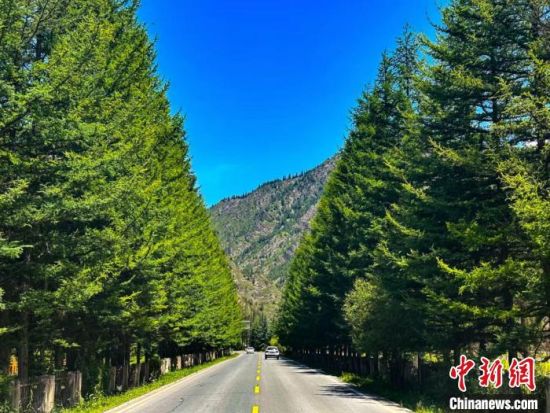 图为青海农村公路。(资料图)青海省交通运输厅 供图 图为青海农村公路。(资料图)青海省交通运输厅 供图