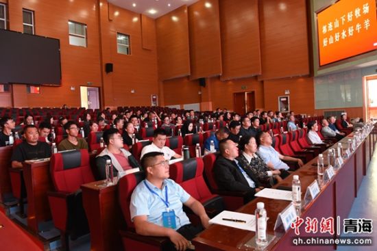 图为专题讲座现场。杜照林 摄 图为专题讲座现场。杜照林 摄