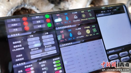 图为演示手机端操控智慧云仓。俞惠珍供图