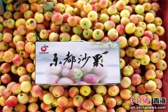 图为沙果。乐都区委宣传部 供图 图为沙果。乐都区委宣传部 供图