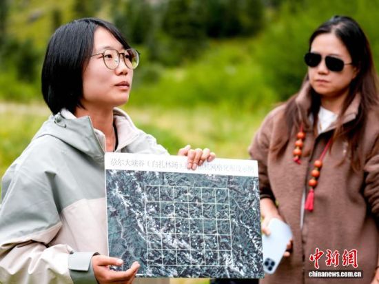 图为工作人员介绍红外相机布设情况。山水自然保护中心供图 图为工作人员介绍红外相机布设情况。山水自然保护中心供图