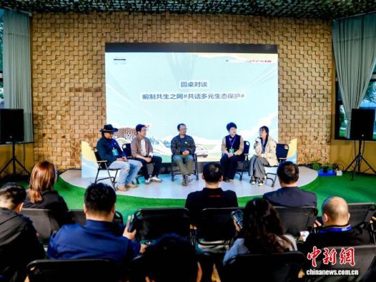 图为项目参与者进行主题交流。李隽 摄 图为项目参与者进行主题交流。李隽 摄