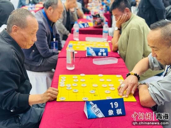 图为象棋比赛现场。孙睿 摄 图为象棋比赛现场。孙睿 摄