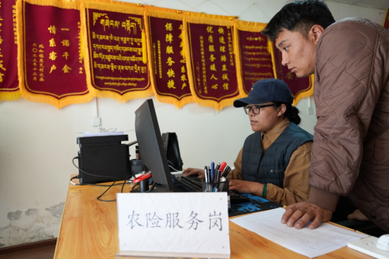 图为农险服务岗业务人员在公司办公。 何欣然摄