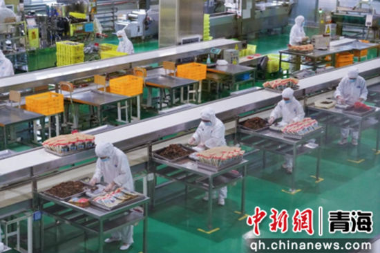 图为可可西里“阳光工厂”。陈珊珊 供图 图为可可西里“阳光工厂”。陈珊珊 供图