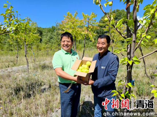 图为淤塞河道已疏通,岸边杂草换成错落灌木、果林与生态乔木。青海省生态环境厅 供图 图为淤塞河道已疏通,岸边杂草换成错落灌木、果林与生态乔木。青海省生态环境厅 供图