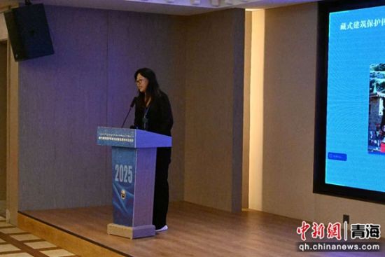 西安建筑科技大学靳亦冰教授主持学术讲座。 金辰杰摄