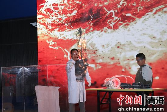 图为科学实验展演汇演现场。 青海省科技馆供图