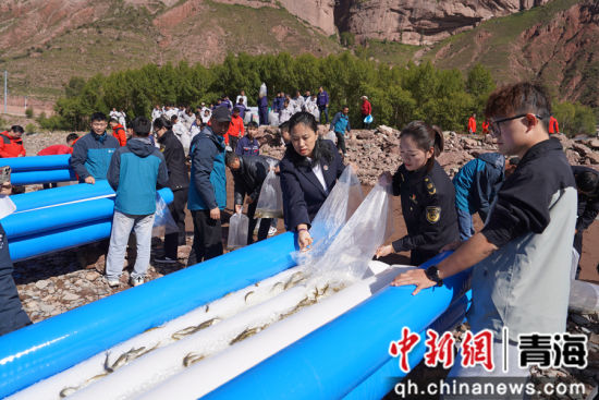 图为增殖放流现场。 玛尔挡水电站供图