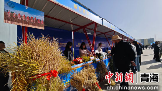 图为活动现场。希日尖措 摄