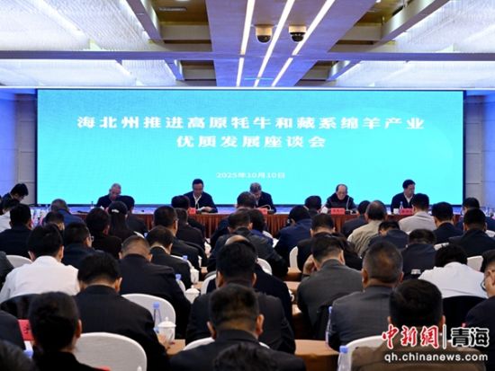 图为座谈会现场。李隽 摄 图为座谈会现场。李隽 摄