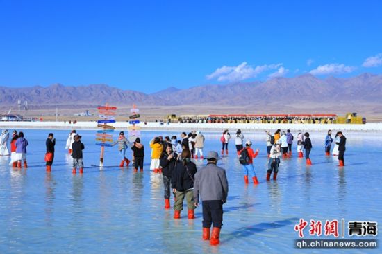 图为游客在茶卡盐湖景区游览。王生荣 摄