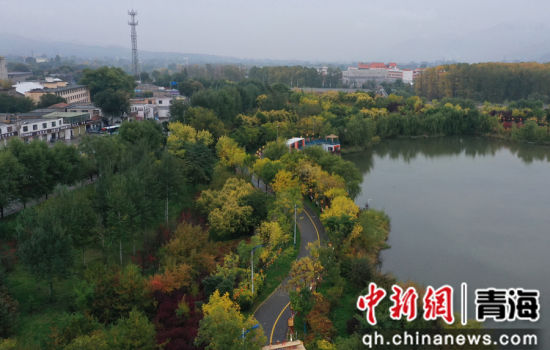 图为航拍青海省海东市乐都区秋景如画。 张忠苹 摄 图为航拍青海省海东市乐都区秋景如画。 张忠苹 摄