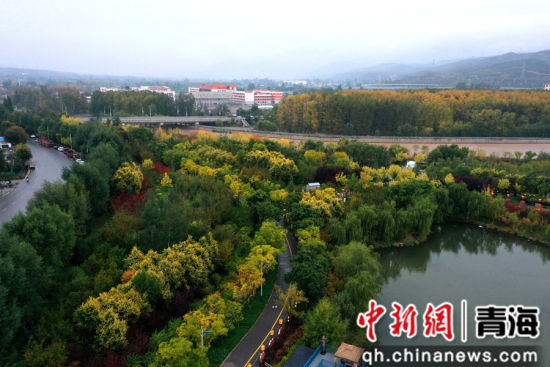 图为航拍青海省海东市乐都区秋景如画。 张忠苹 摄 图为航拍青海省海东市乐都区秋景如画。 张忠苹 摄