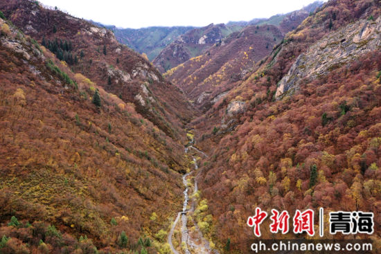 图为航拍的北山国家森林地质公园扎龙沟秋景。 张忠苹 摄