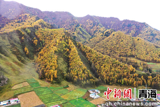 图为扎碾公路沿路的风光。 张忠苹 摄